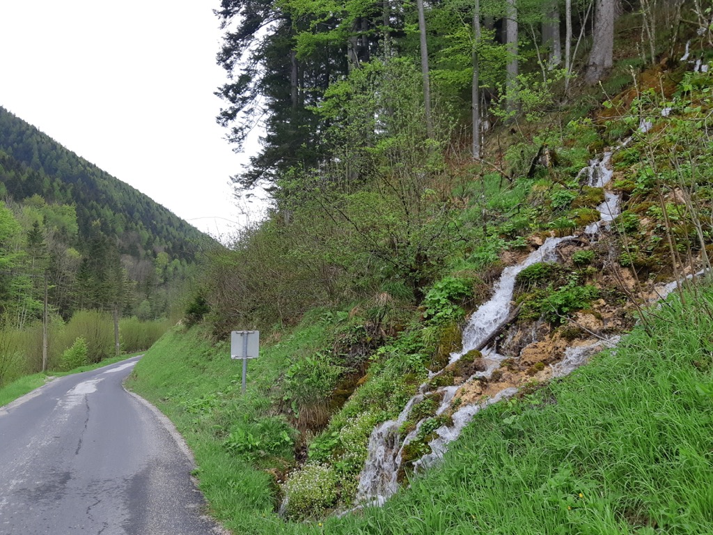 Umgebung & Natur
