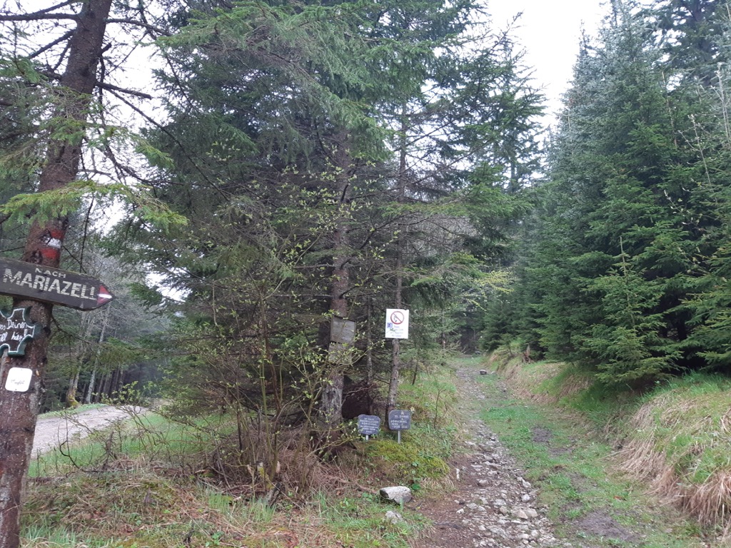 Umgebung & Natur