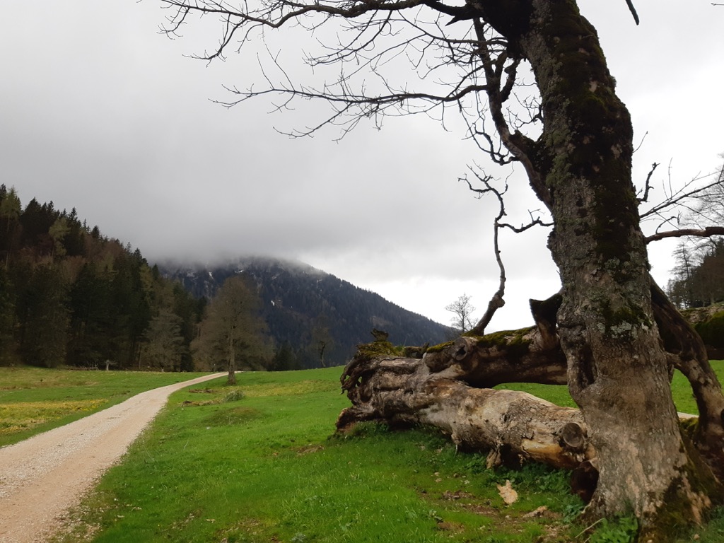 Umgebung & Natur