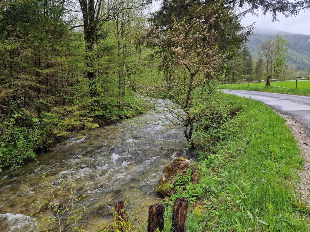 Umgebung & Natur